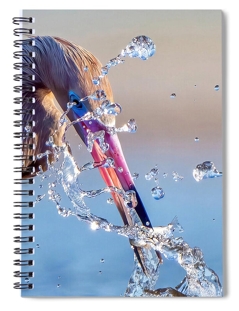 Heron Catching Its Prey in Motion - Spiral Notebook