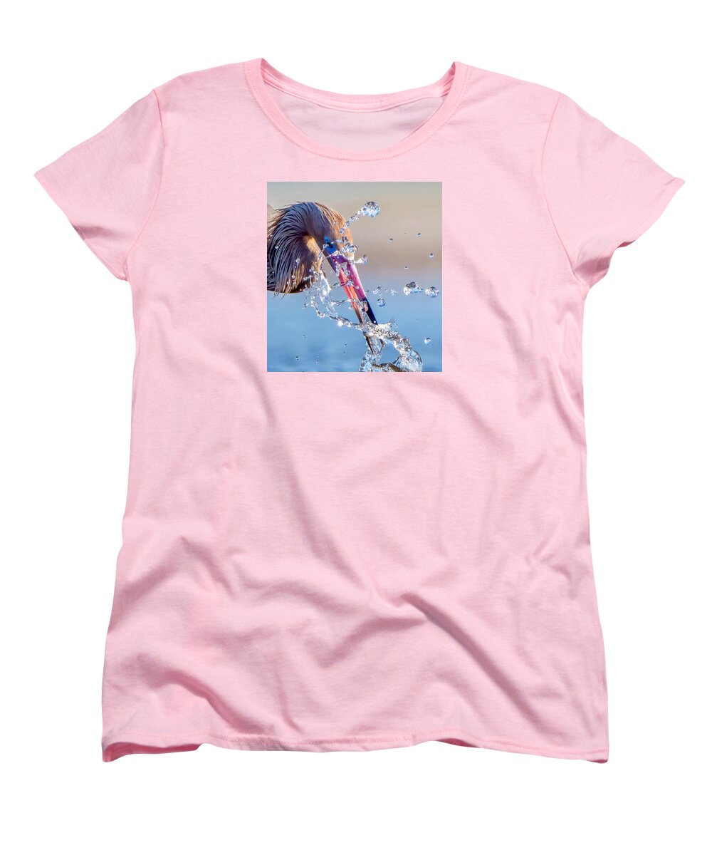 Heron Catching Its Prey in Motion - Women's T-Shirt (Standard Fit)