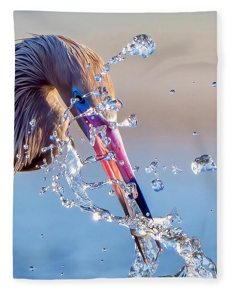 Heron Catching Its Prey in Motion - Blanket