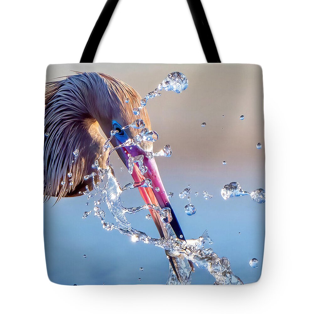 Heron Catching Its Prey in Motion - Tote Bag