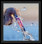 Heron Catching Its Prey in Motion - Framed Print