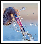 Heron Catching Its Prey in Motion - Framed Print