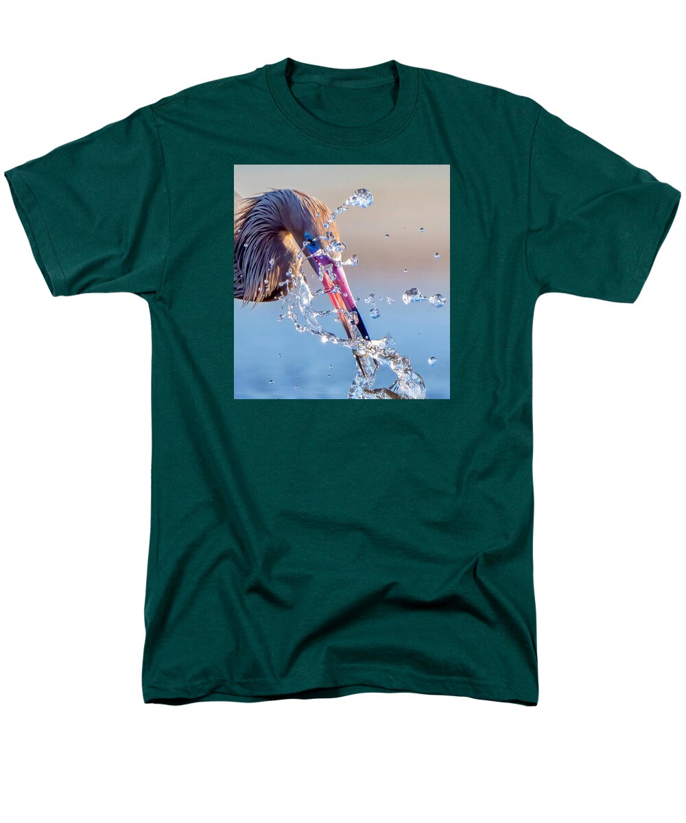 Heron Catching Its Prey in Motion - Men's T-Shirt  (Regular Fit)
