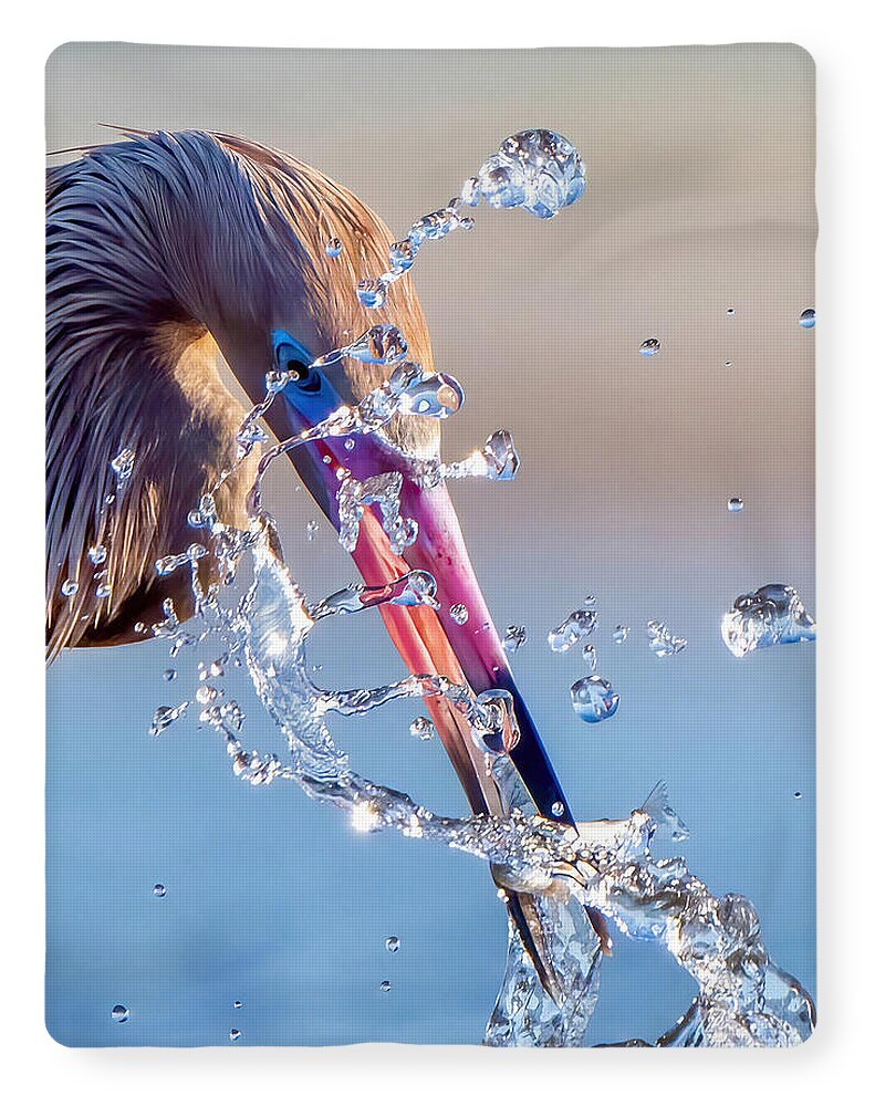 Heron Catching Its Prey in Motion - Blanket