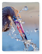 Heron Catching Its Prey in Motion - Blanket