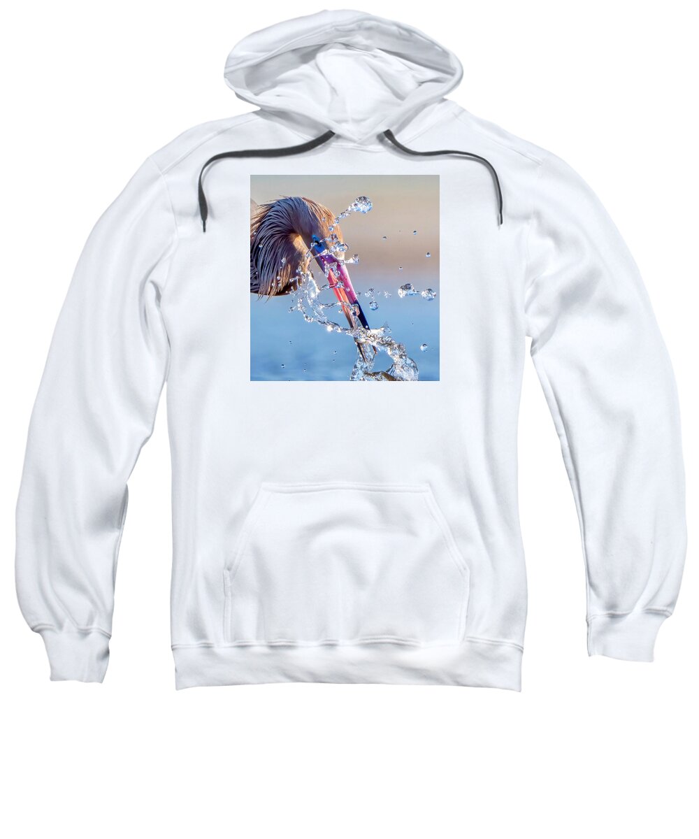 Heron Catching Its Prey in Motion - Sweatshirt