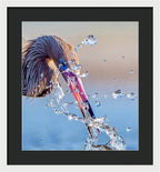Heron Catching Its Prey in Motion - Framed Print