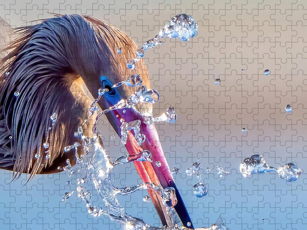Heron Catching Its Prey in Motion - Puzzle
