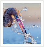 Heron Catching Its Prey in Motion - Framed Print