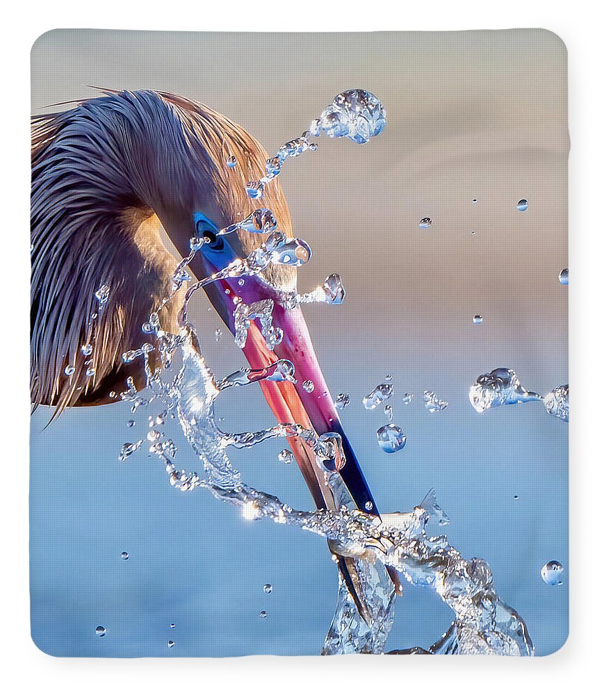 Heron Catching Its Prey in Motion - Blanket