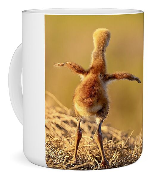 Homebound - Mug