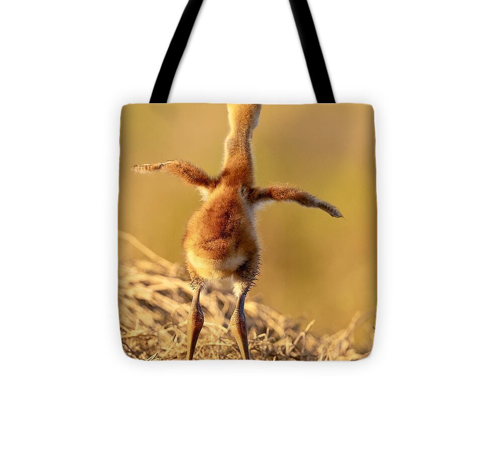 Homebound - Tote Bag
