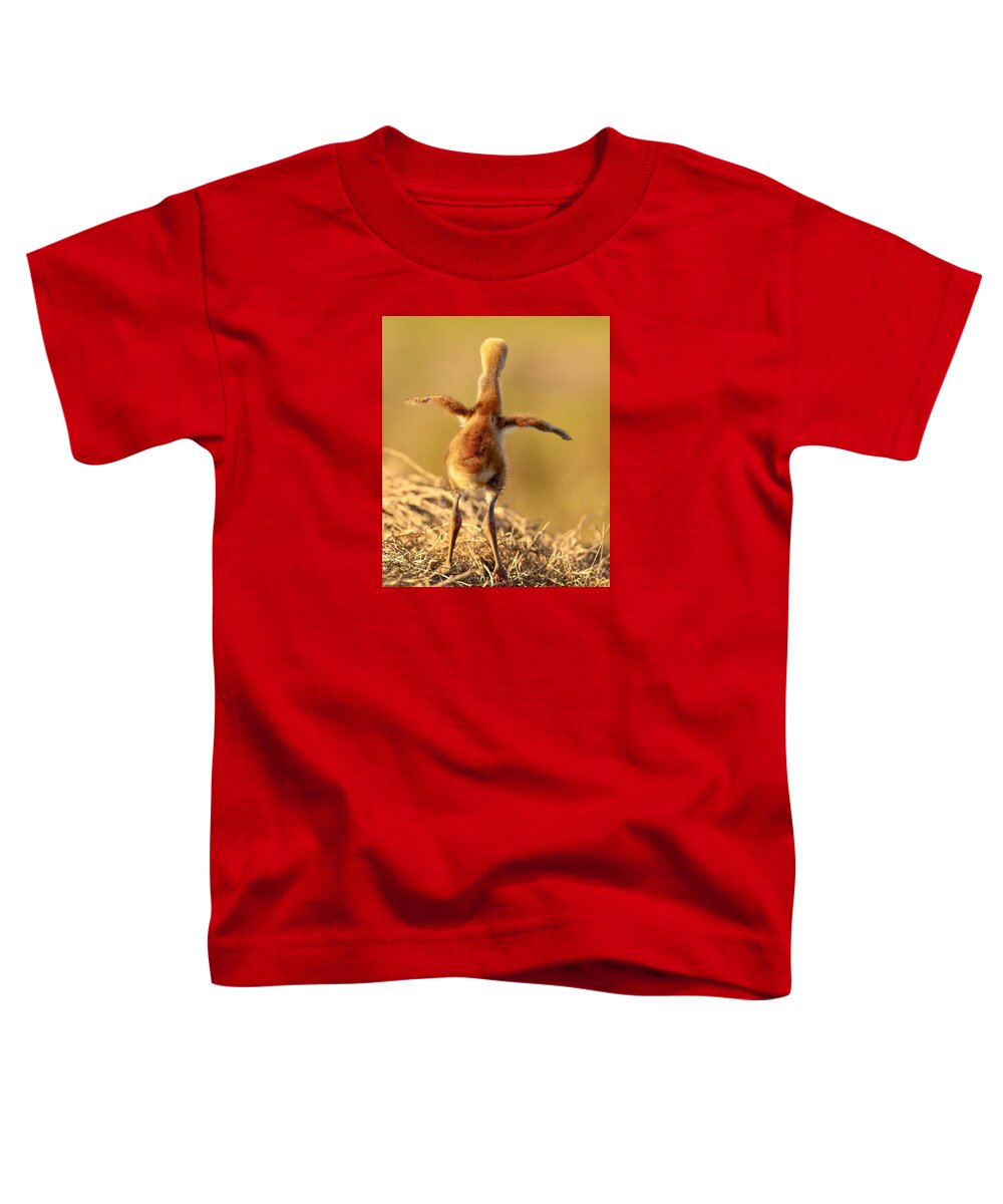 Homebound - Toddler T-Shirt