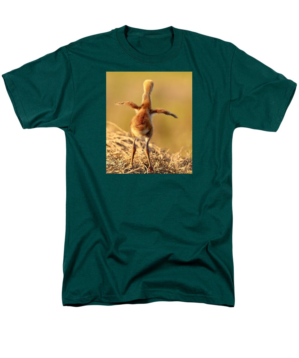 Homebound - Men's T-Shirt  (Regular Fit)