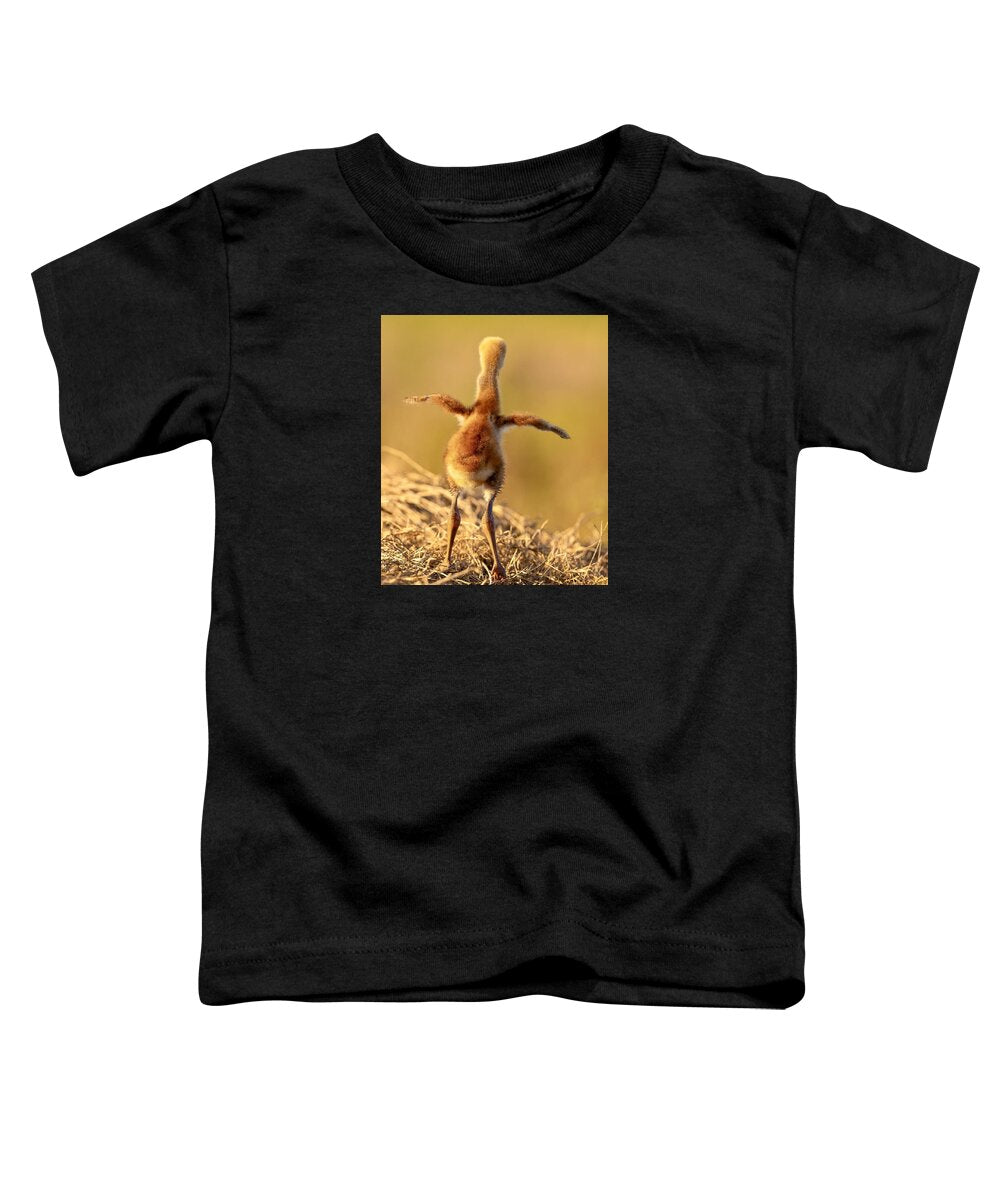 Homebound - Toddler T-Shirt