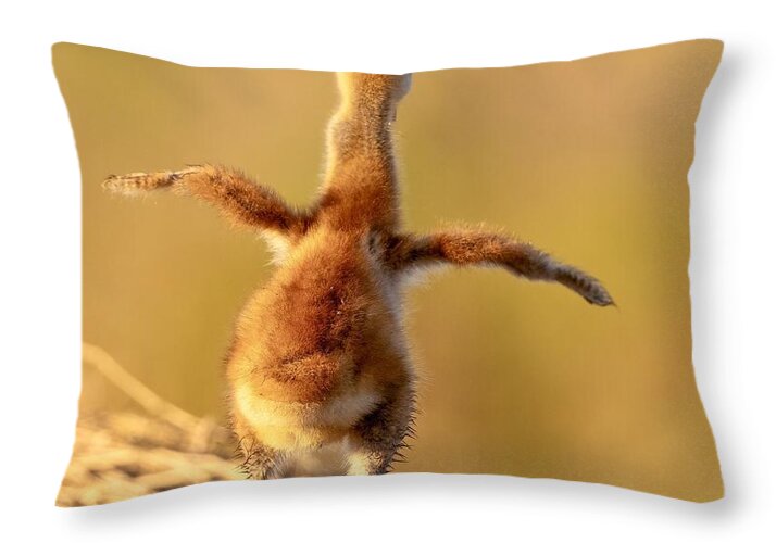 Homebound - Throw Pillow