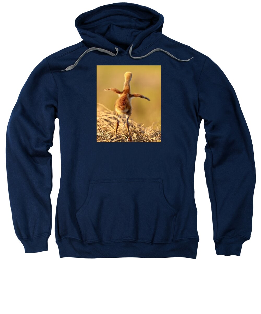 Homebound - Sweatshirt