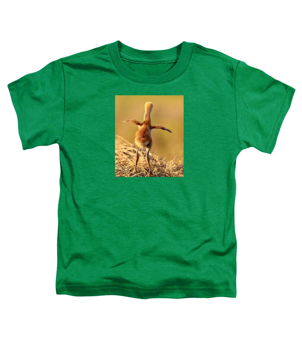 Homebound - Toddler T-Shirt