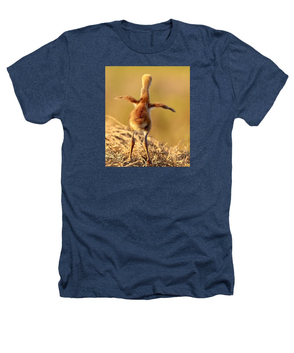 Homebound - Heathers T-Shirt