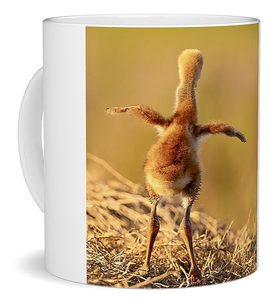 Homebound - Mug
