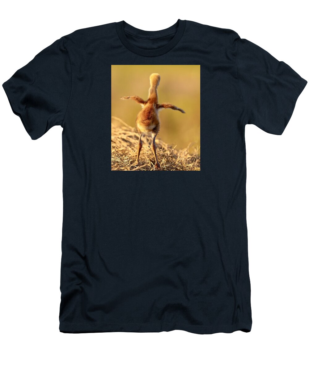 Homebound - T-Shirt