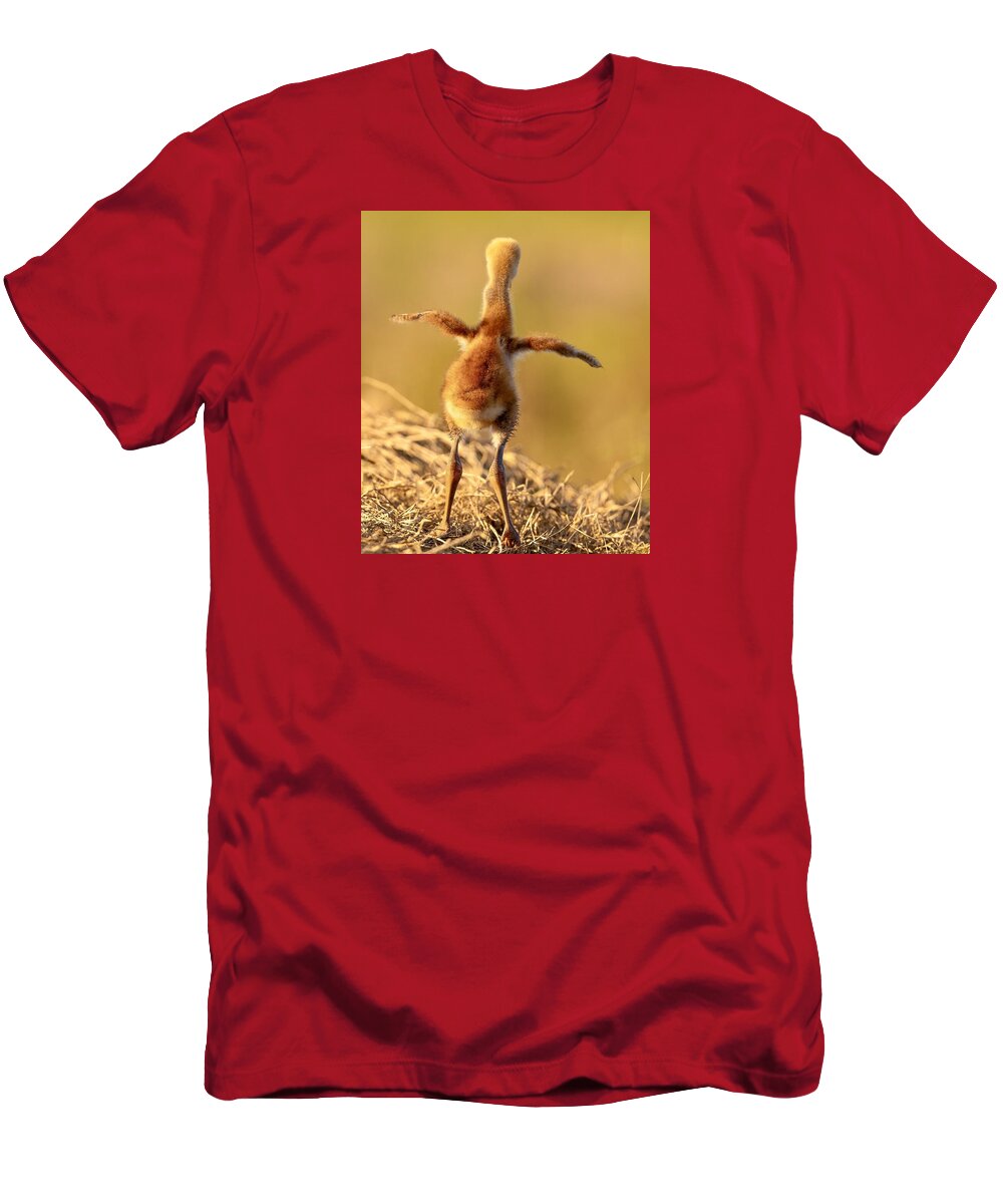 Homebound - T-Shirt