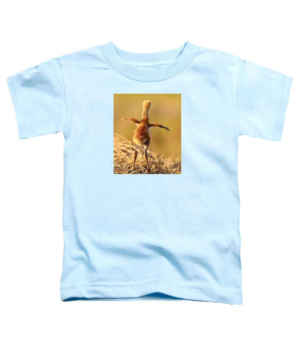 Homebound - Toddler T-Shirt