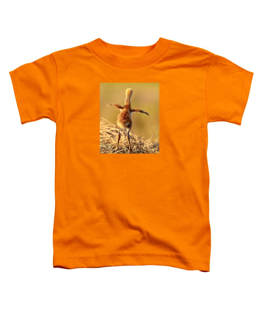 Homebound - Toddler T-Shirt