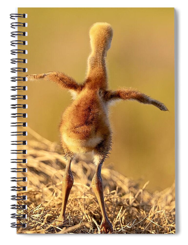 Homebound - Spiral Notebook