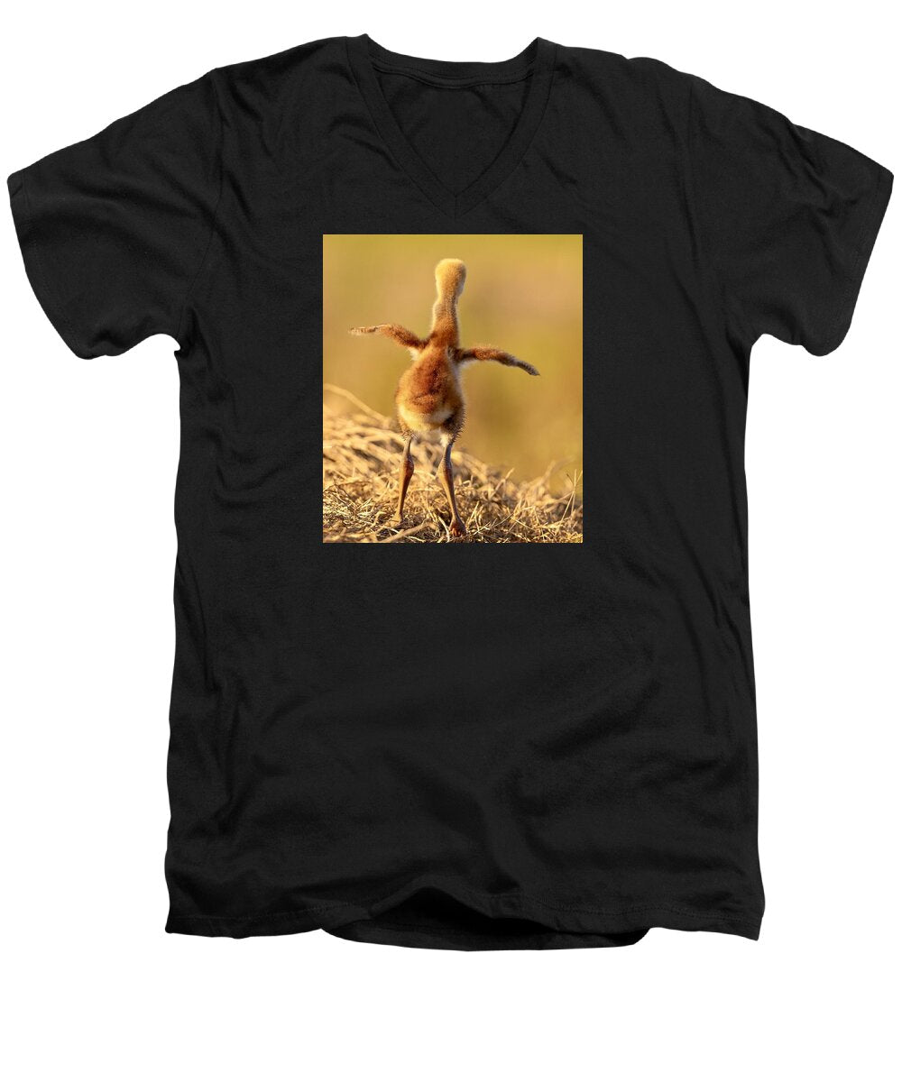 Homebound - Men's V-Neck T-Shirt