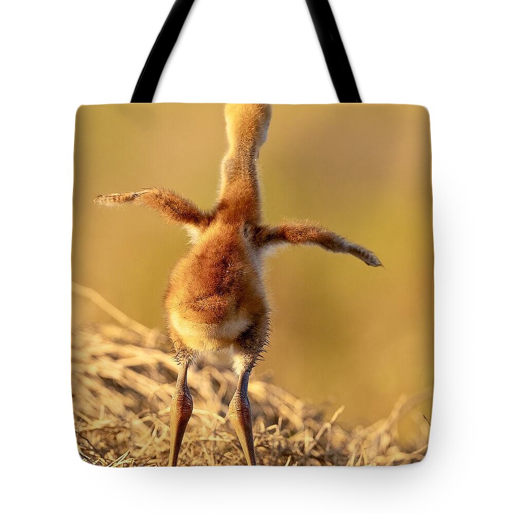 Homebound - Tote Bag