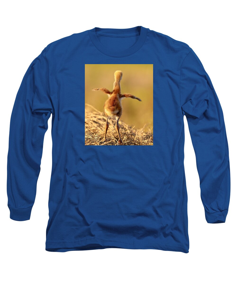 Homebound - Long Sleeve T-Shirt