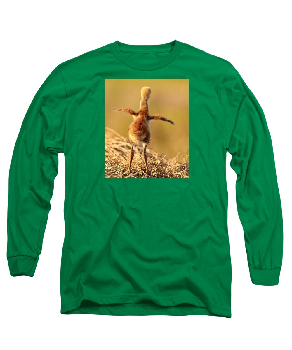 Homebound - Long Sleeve T-Shirt