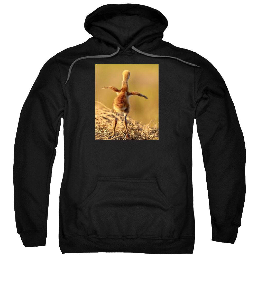 Homebound - Sweatshirt