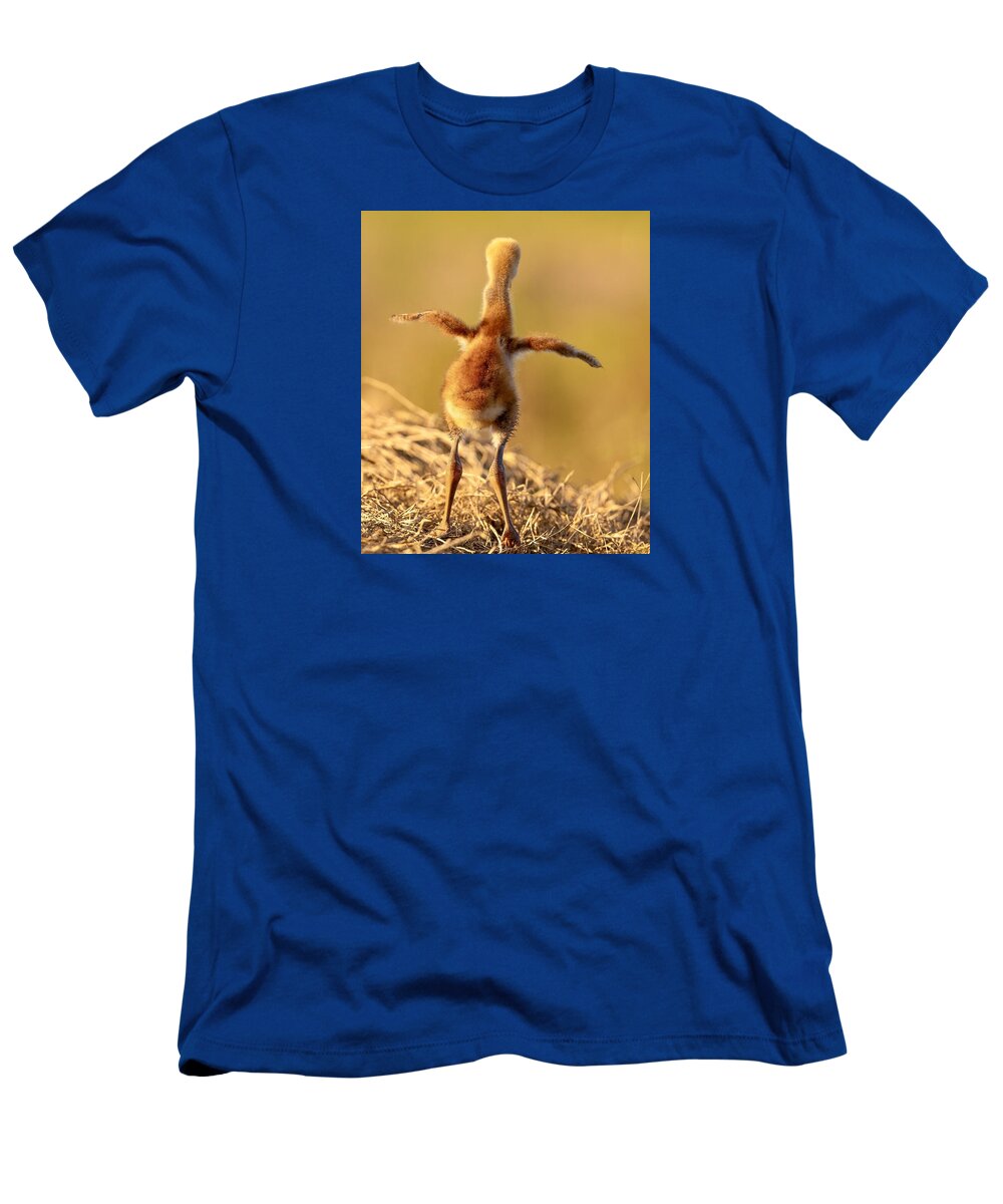 Homebound - T-Shirt