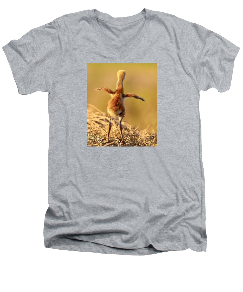 Homebound - Men's V-Neck T-Shirt