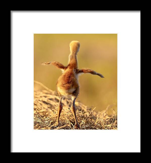 Homebound - Framed Print