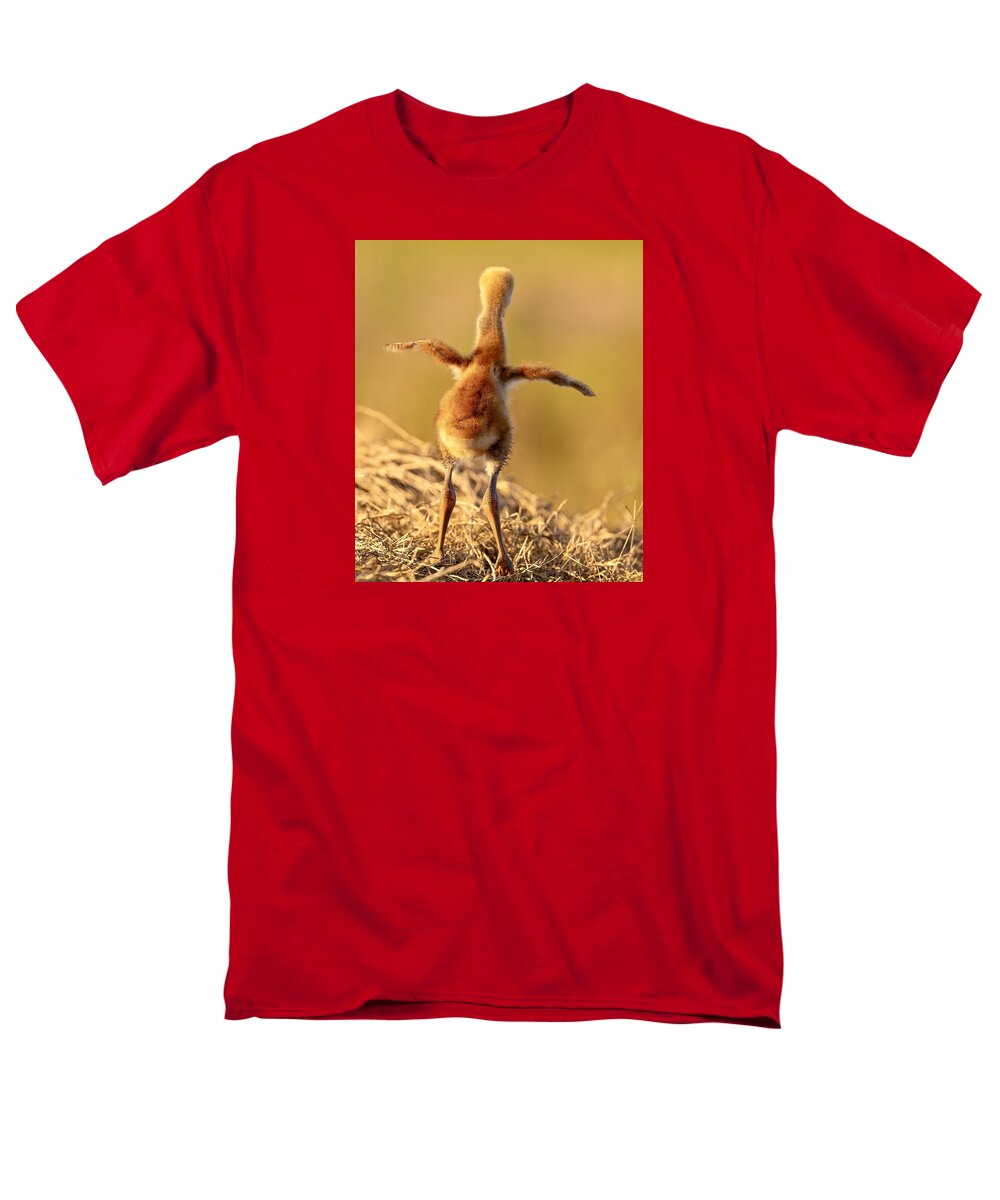 Homebound - Men's T-Shirt  (Regular Fit)