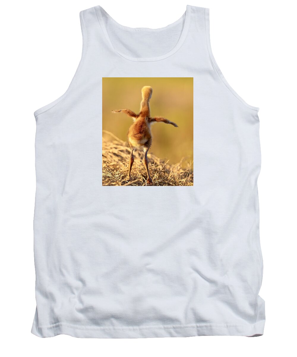 Homebound - Tank Top