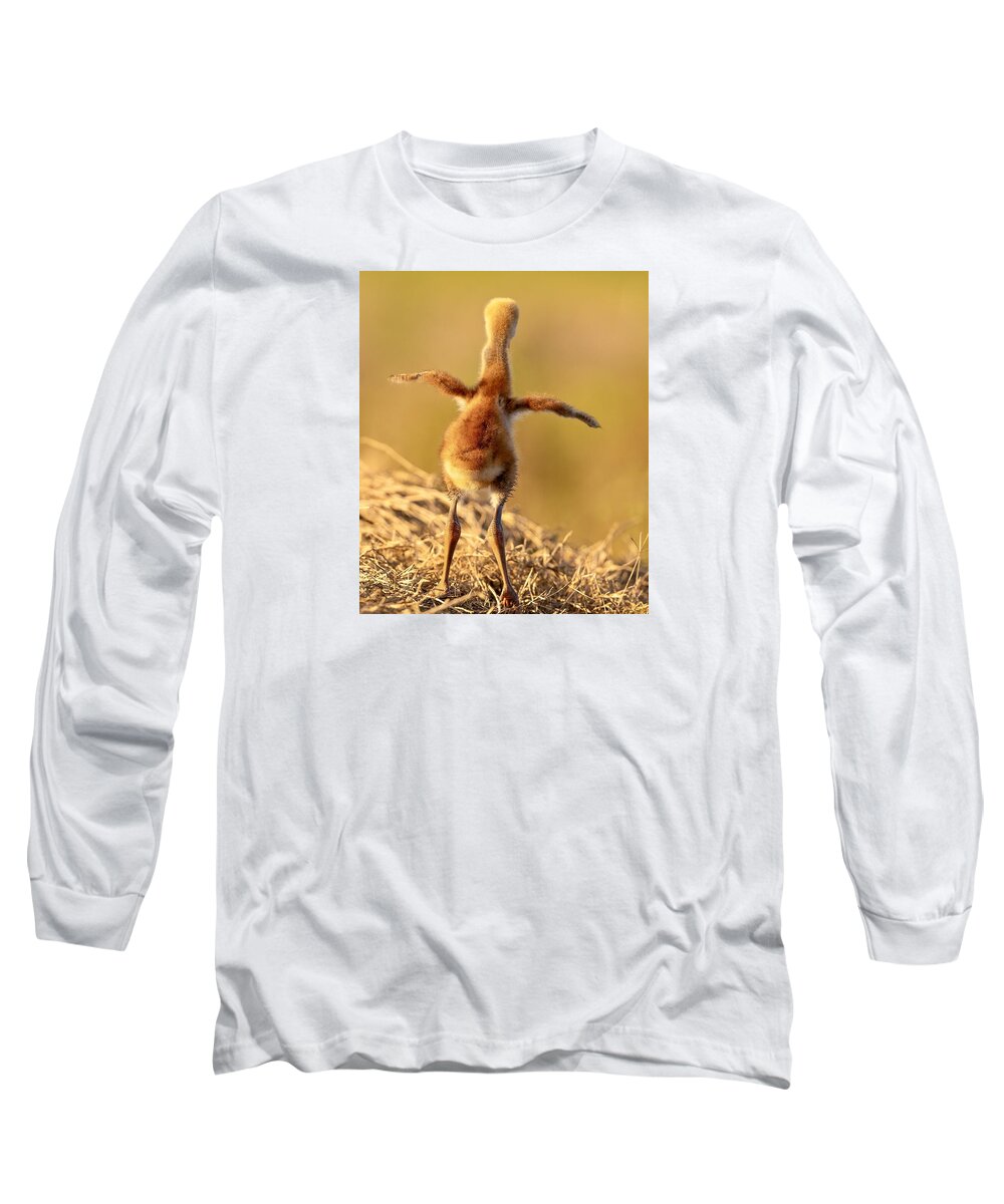 Homebound - Long Sleeve T-Shirt