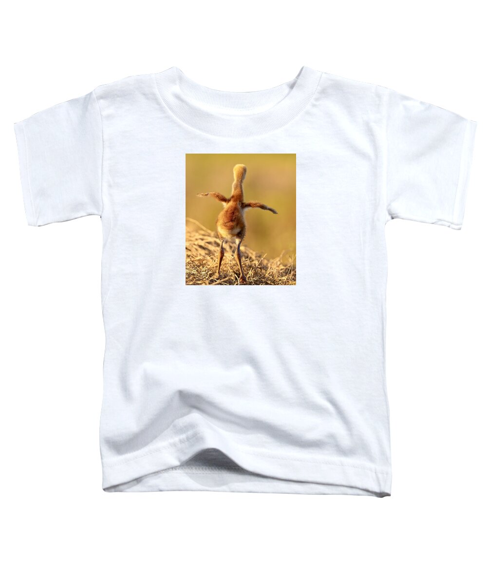 Homebound - Toddler T-Shirt