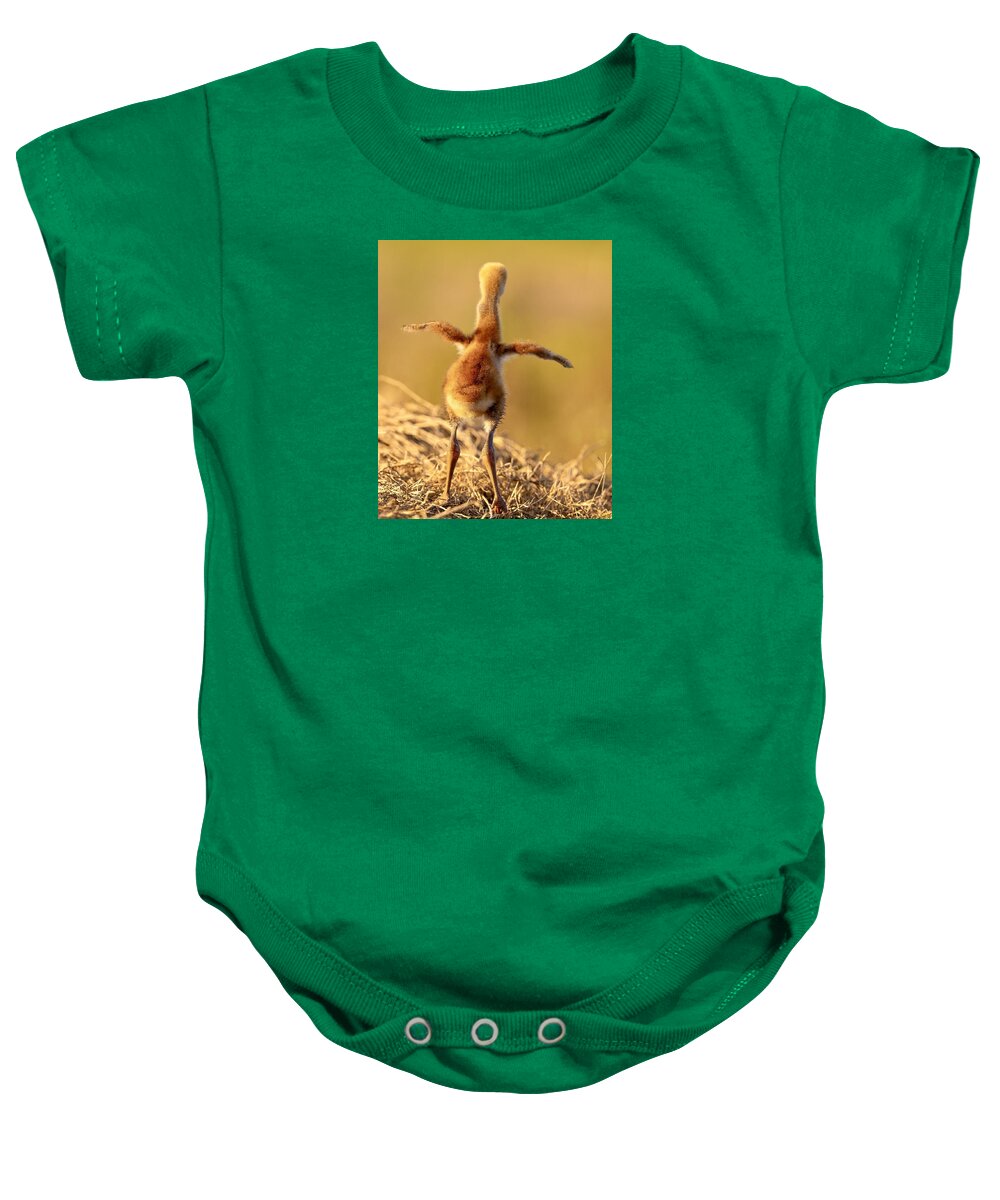 Homebound - Baby One-Piece