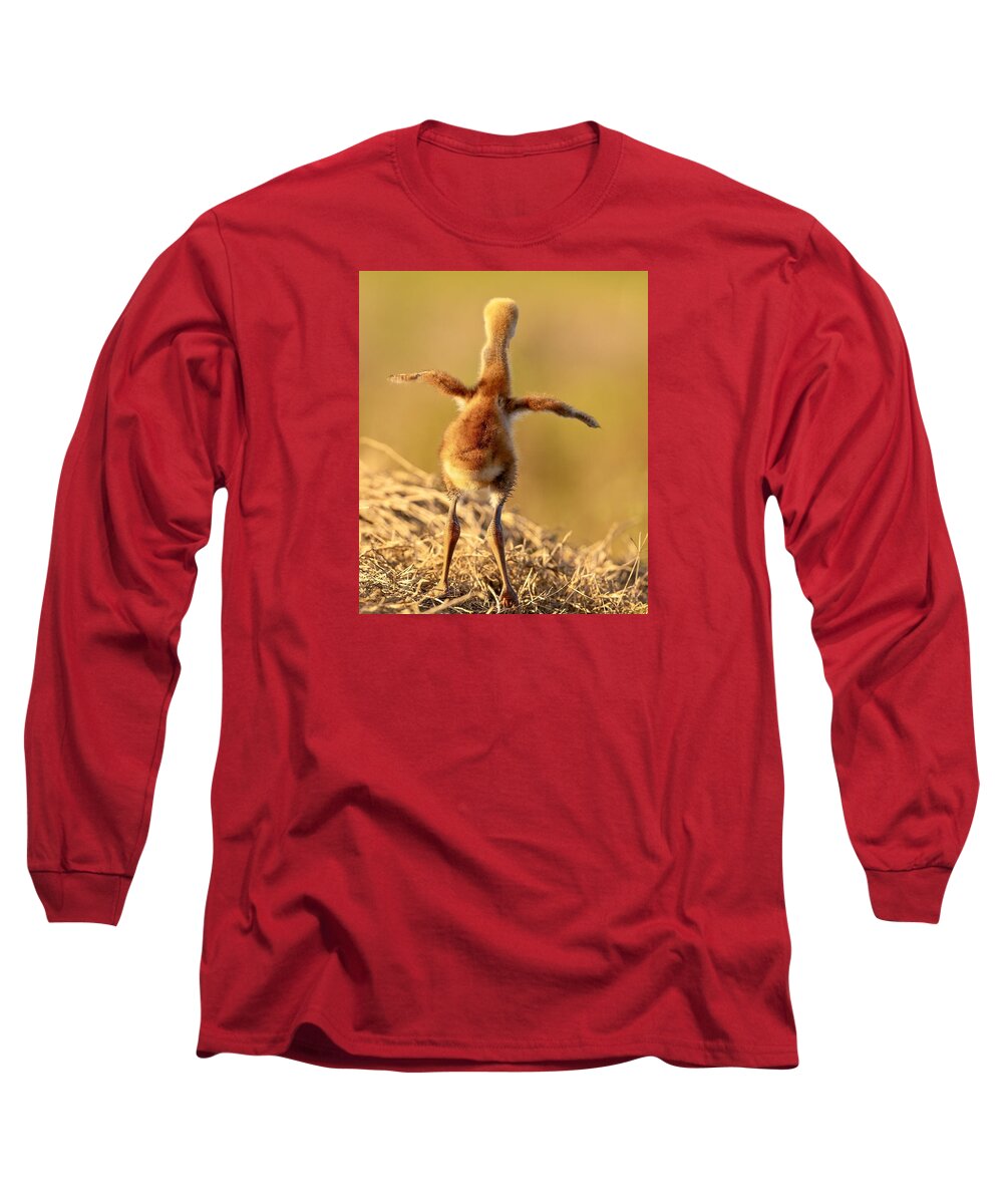 Homebound - Long Sleeve T-Shirt