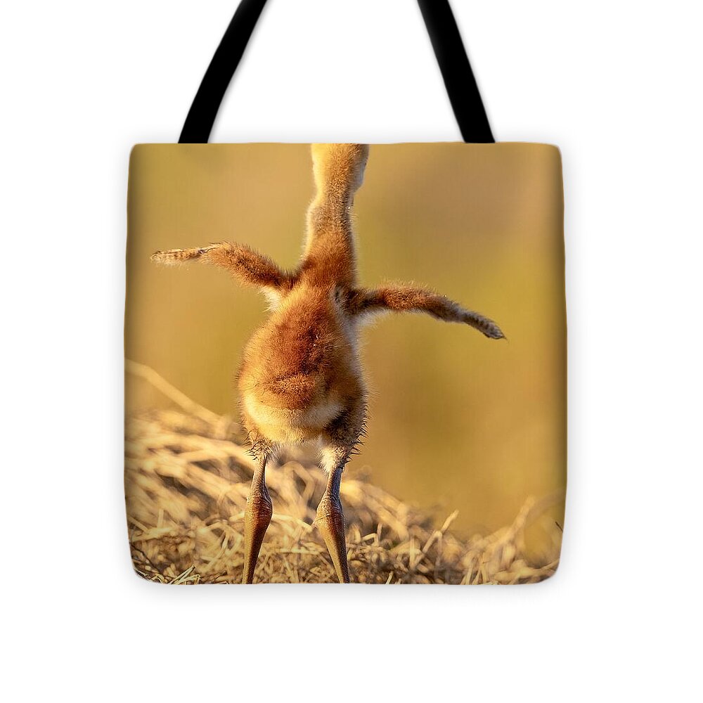 Homebound - Tote Bag