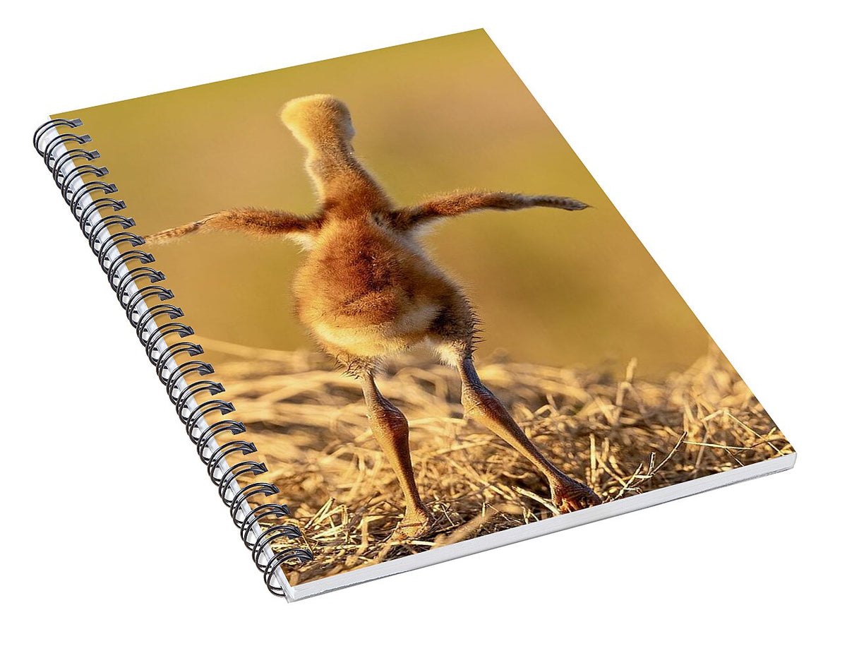 Homebound - Spiral Notebook