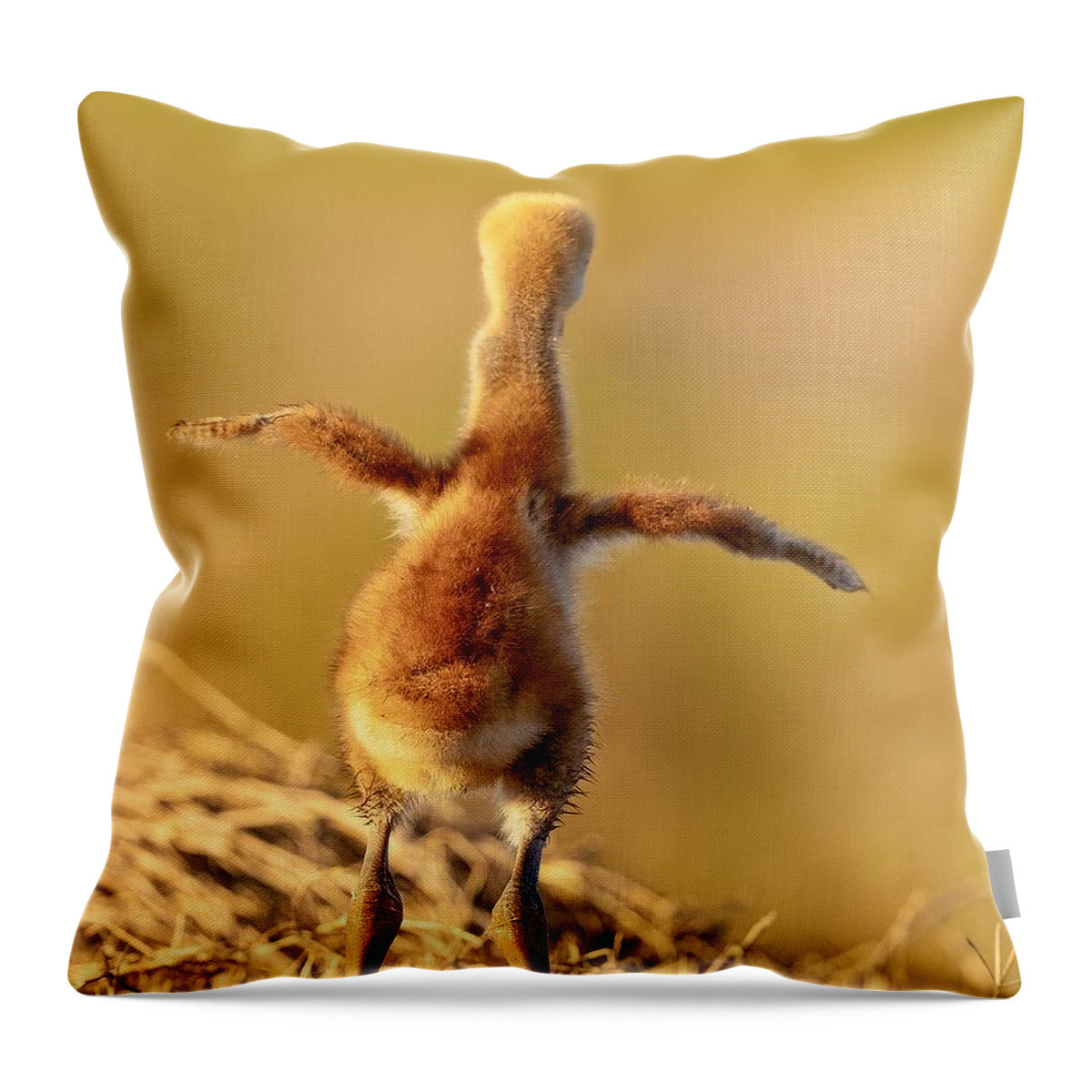 Homebound - Throw Pillow