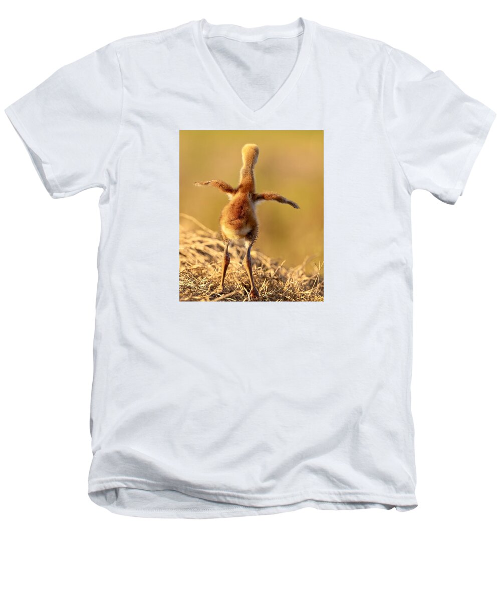 Homebound - Men's V-Neck T-Shirt