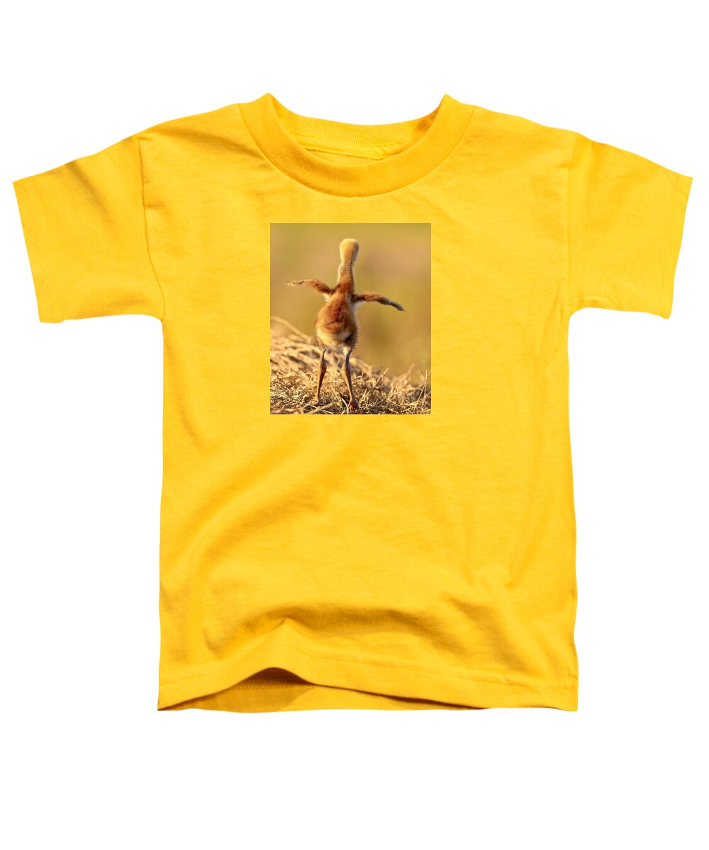 Homebound - Toddler T-Shirt