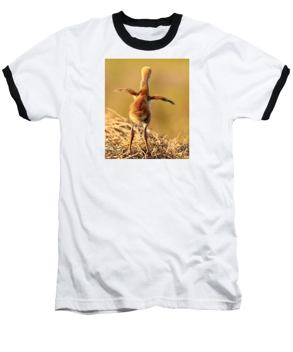 Homebound - Baseball T-Shirt