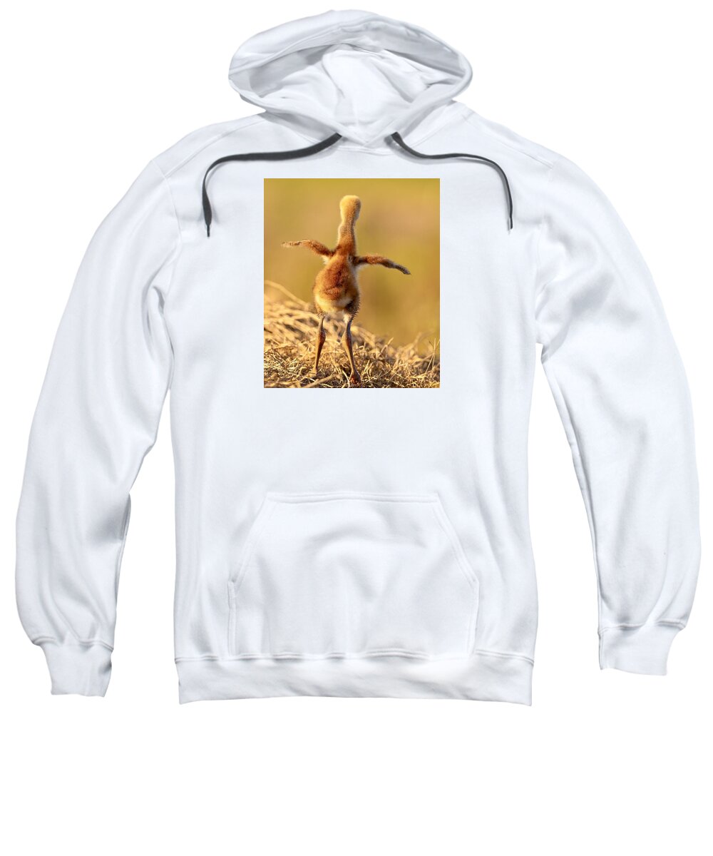Homebound - Sweatshirt